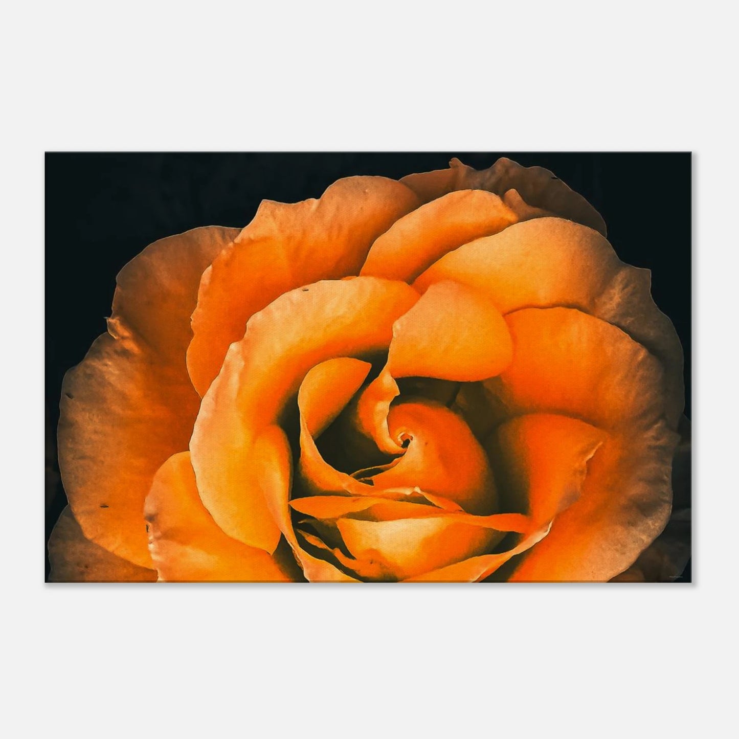 4fdd0b77-951d-474d-aff9-a5970b1752f8