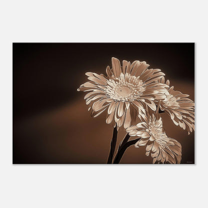 5003d903-0c6f-4ef1-be85-34f5f9e33216