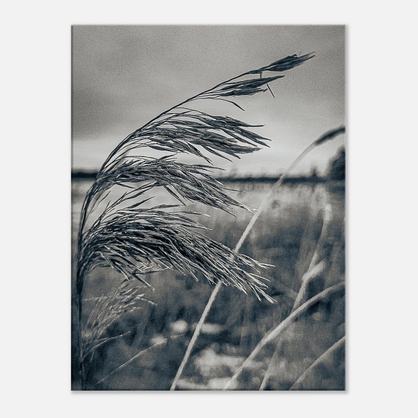 50287826-5bc0-4c1d-8ef8-a177bcd825aa