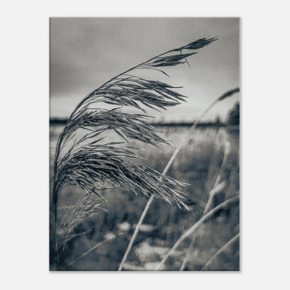 50287826-5bc0-4c1d-8ef8-a177bcd825aa