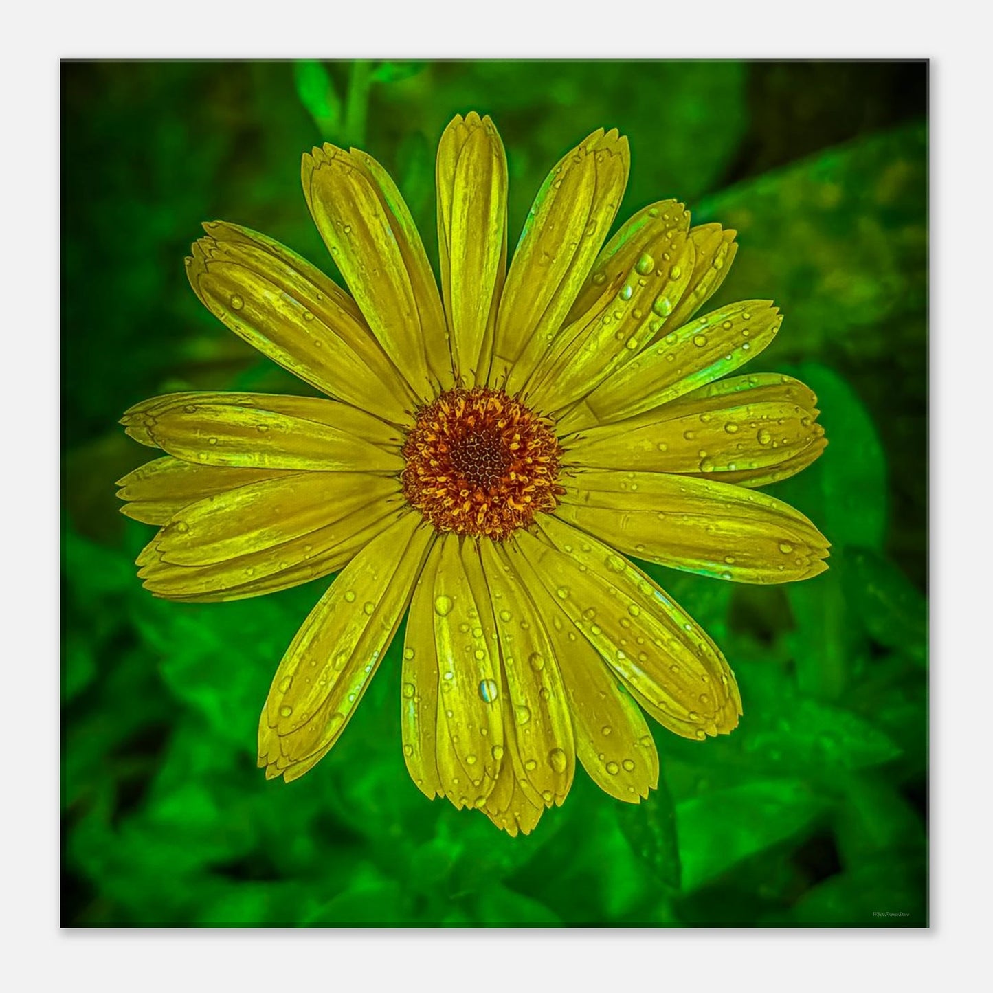 503a8d6e-46cd-47f1-9f1f-b44e138a0531