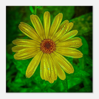 503a8d6e-46cd-47f1-9f1f-b44e138a0531