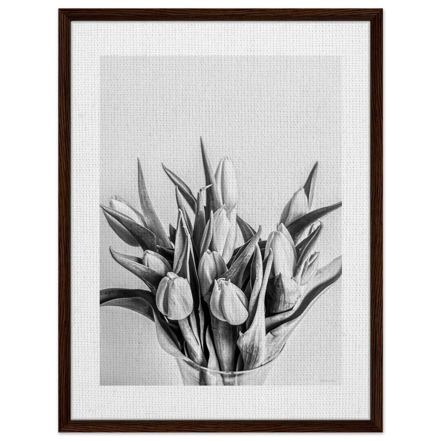 504b4bcc-5552-4d3c-b3f9-56533c4bd894