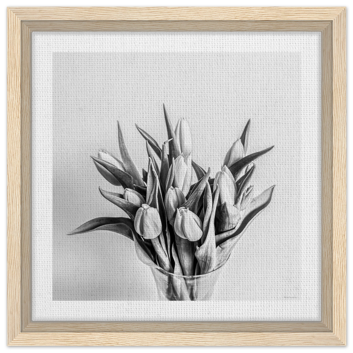 50534fcd-cecd-44f1-bb68-02bb039217c8