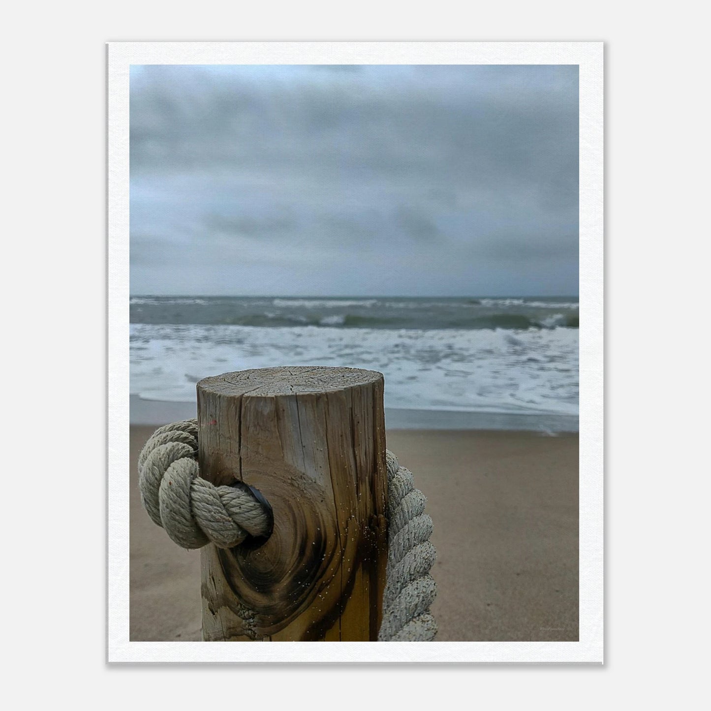 5079d45f-a34b-402e-82b7-c6547de54dff