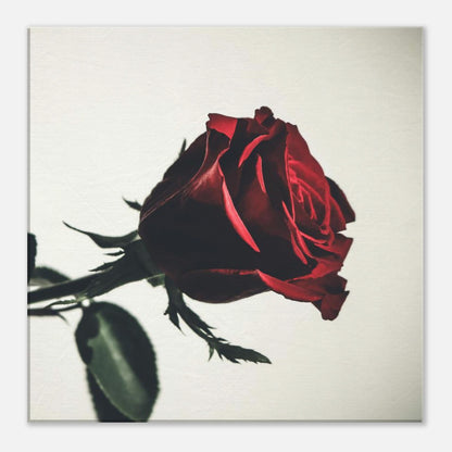 50a46cba-53fb-434c-af9d-89fb3999dcfc