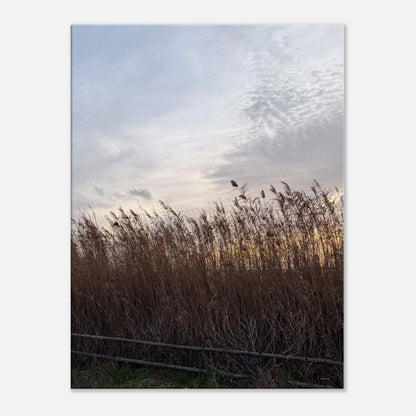 50d1c0e3-bf70-491e-8566-452ea21d185e