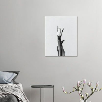 50f25a5b-cfef-44fc-bd2c-4f6d3376f9ef