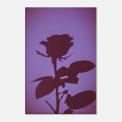 5104853e-8866-4621-a89f-daae71c43bf2