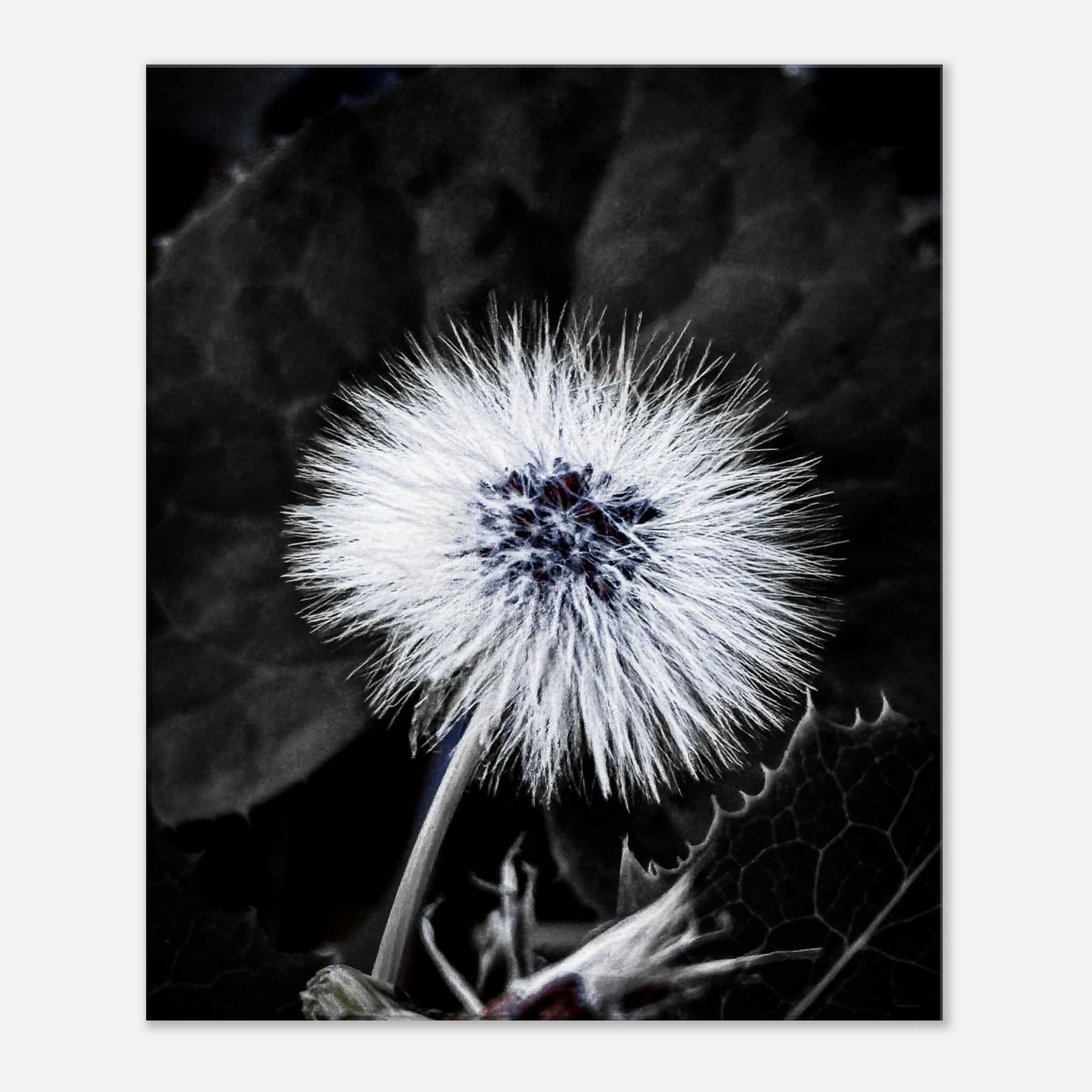 511b34ff-3eaa-4c99-95fb-ae2e52acd22c