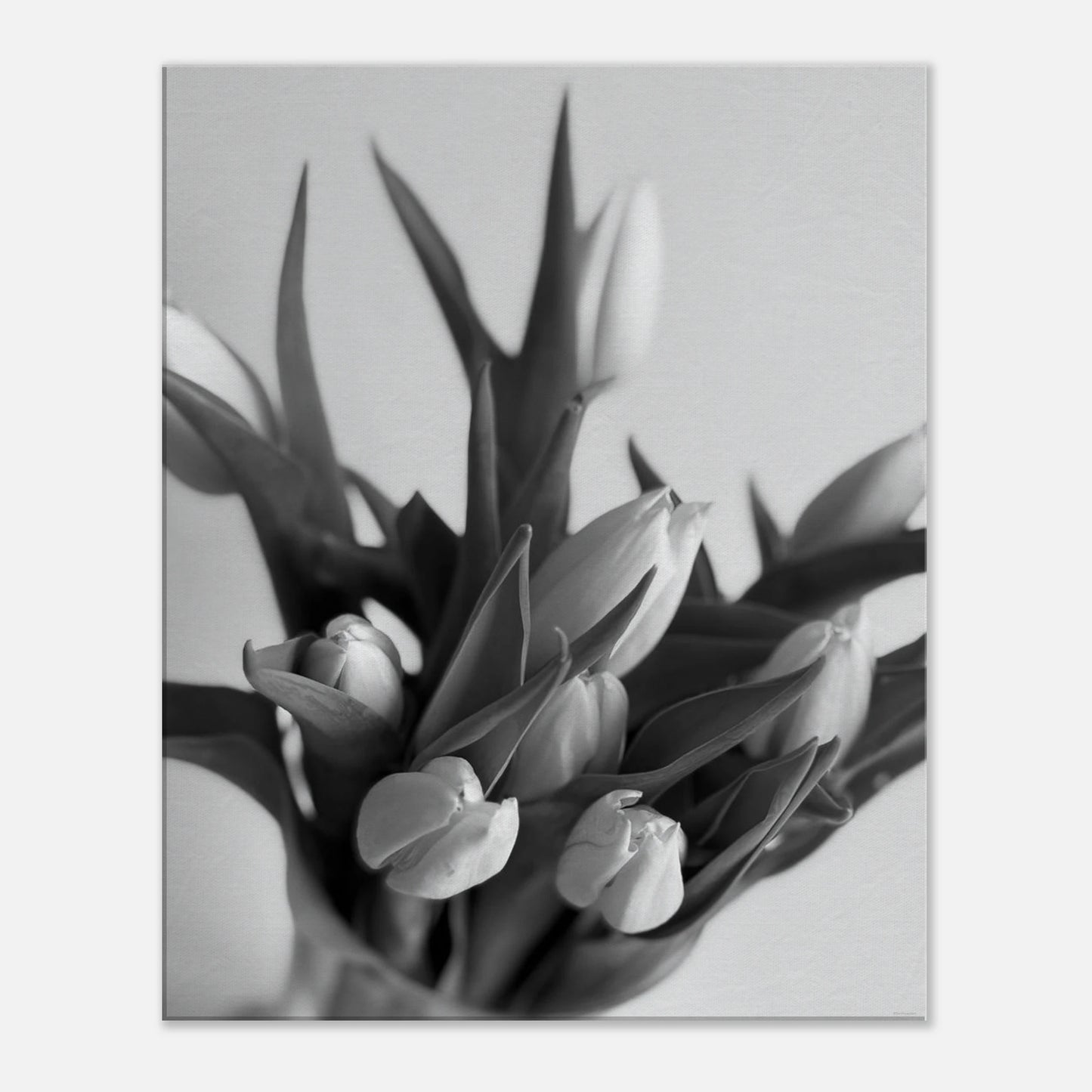 512d80b2-260c-41c9-8712-884bef2818d8