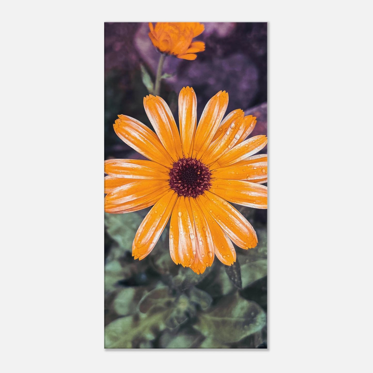 51a2b6e7-749f-445a-be67-d76ff5e30bd4