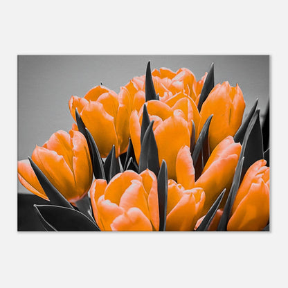 51ffc5a2-27ee-4bd3-b2a6-003168a085b4