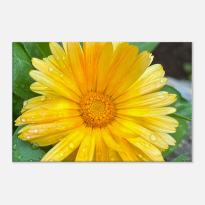 52010df3-221b-4932-a443-23ce2f07732d