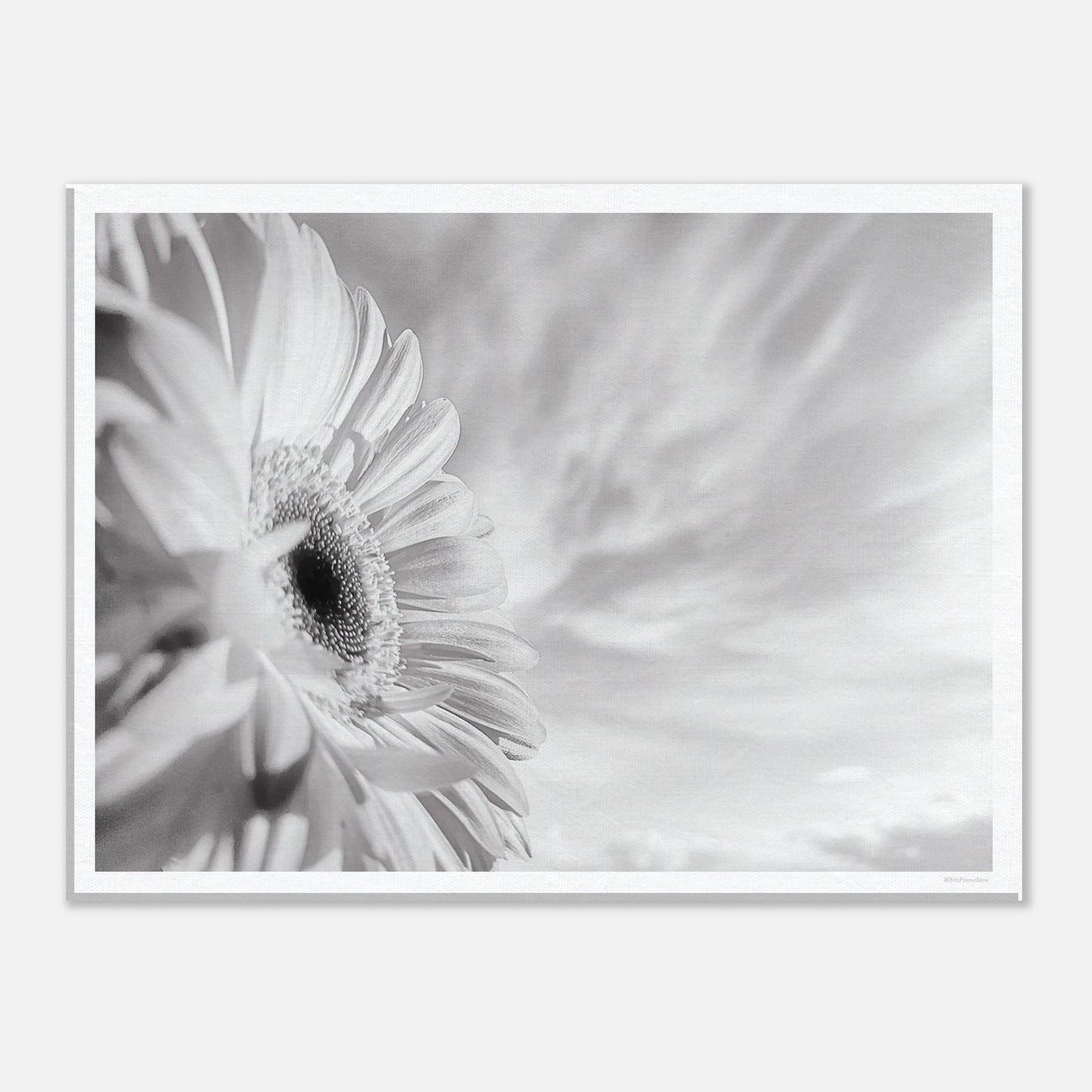 52058f8b-bbd6-44df-a1bd-073ef7ff8281