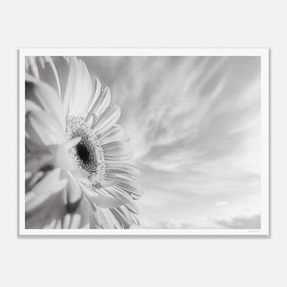 52058f8b-bbd6-44df-a1bd-073ef7ff8281