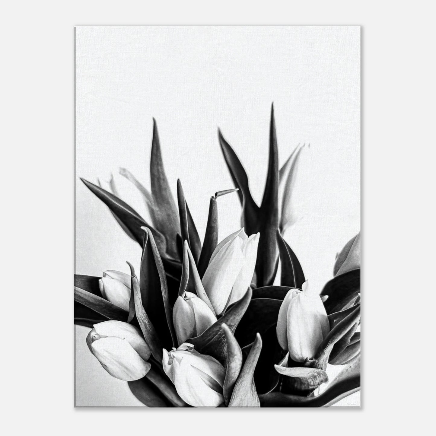 521a40b4-ad9a-44d6-9247-b1b6226be38e