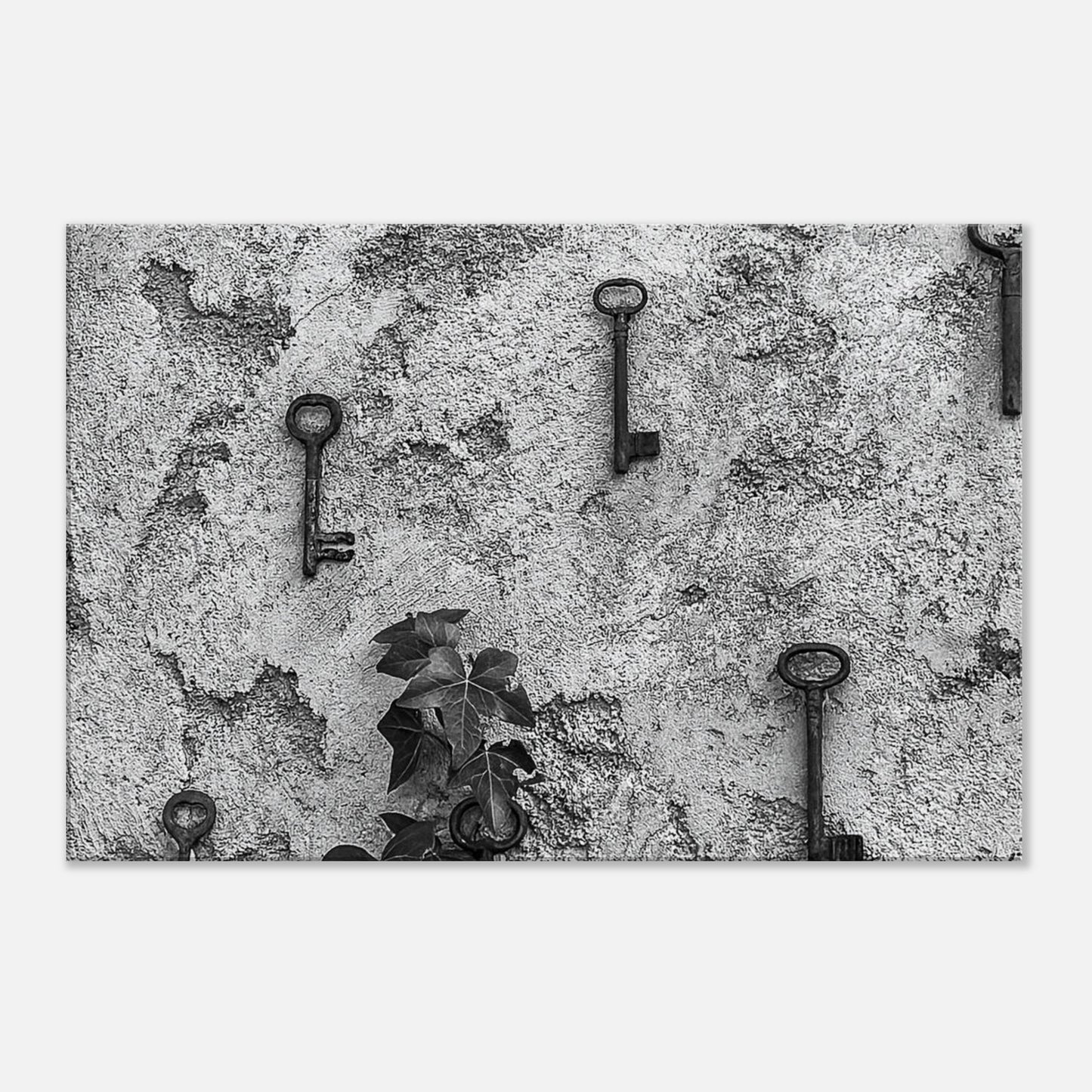 522359a1-cb76-41a8-8cbb-0a3a01d93c8c