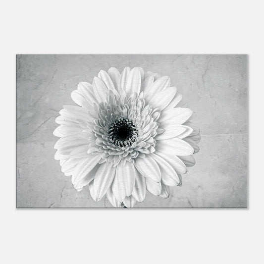 5228bd7f-f80f-4981-bc01-580de8af295d