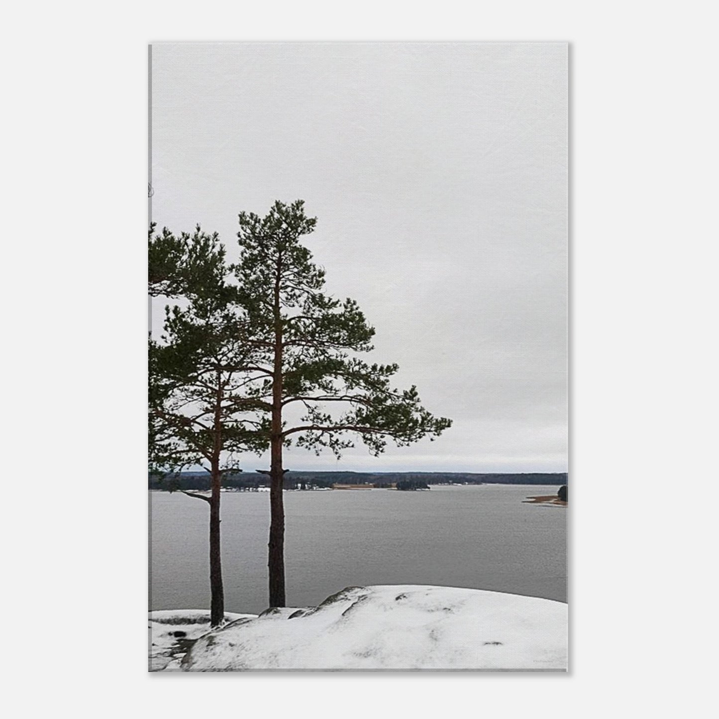 523b564d-b42f-44a6-bc83-f914eb63422a