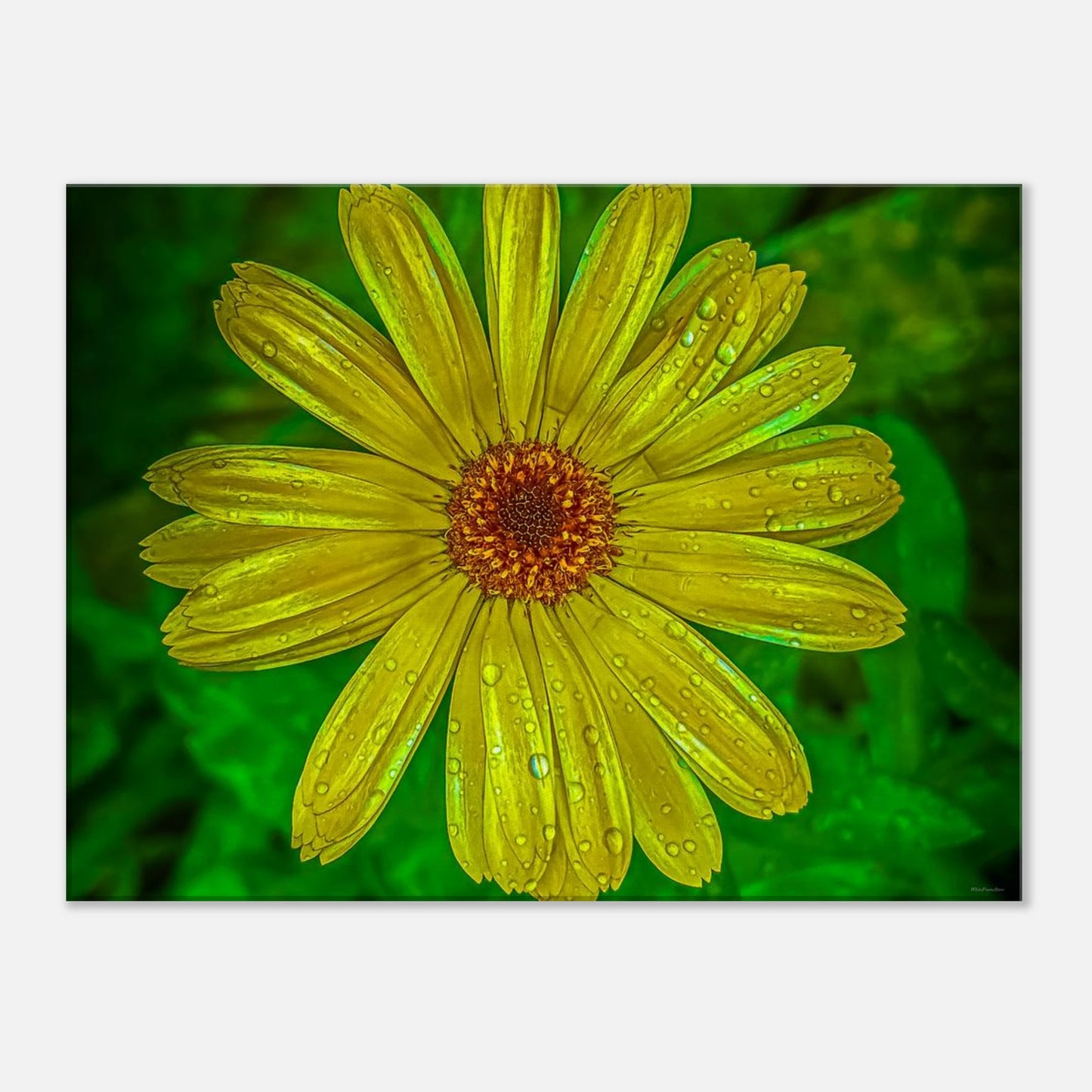 523f4057-da43-469a-9c35-93c9779ed699