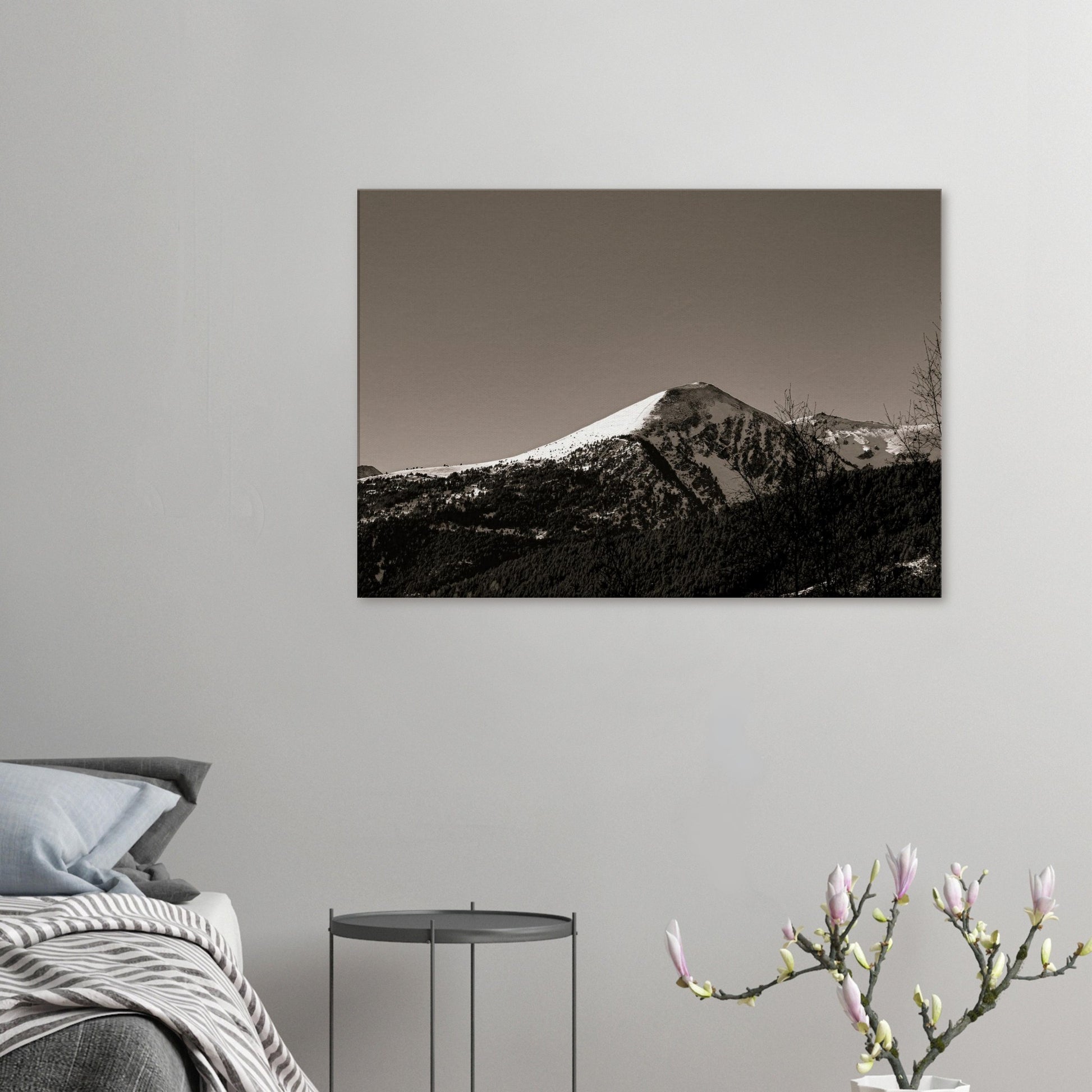 5245556f-8567-4c34-a5a3-0de9741d158b