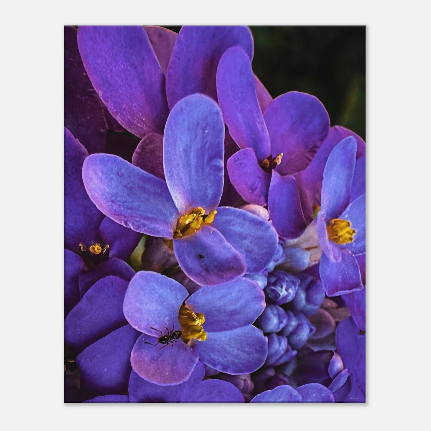 5258c621-9742-40cf-9470-78aa9fa520b1