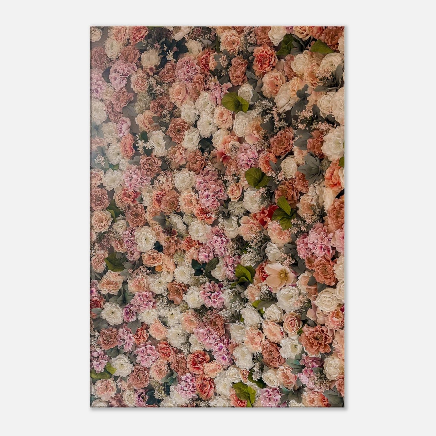 5261b2d0-131c-4c20-a9e3-f7a76c26646c