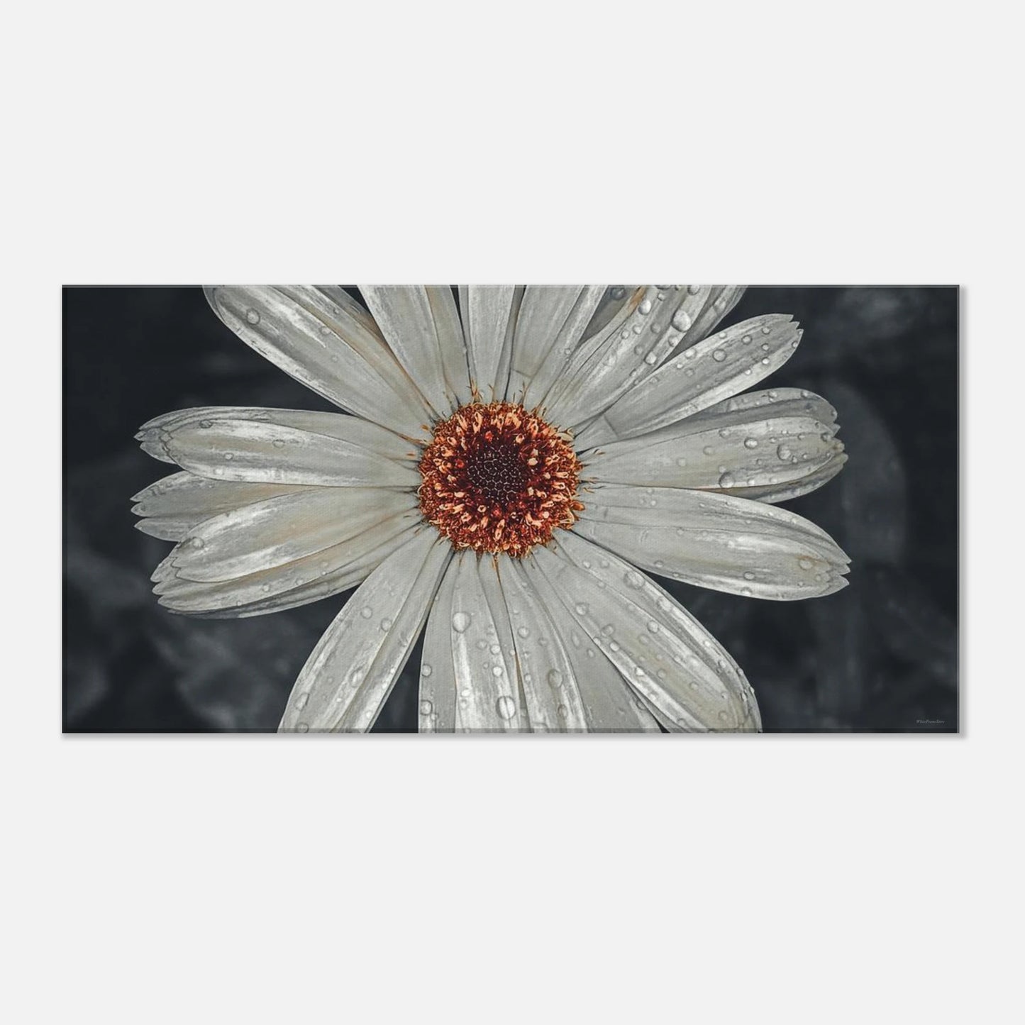 528a05ec-3b98-4ea9-b366-38557c0cb2a5