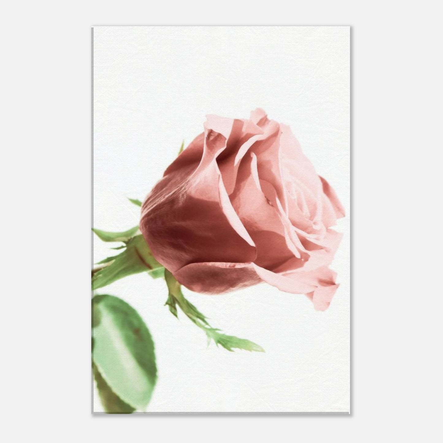 52a5a93b-5285-448f-a137-9945a50fabd9