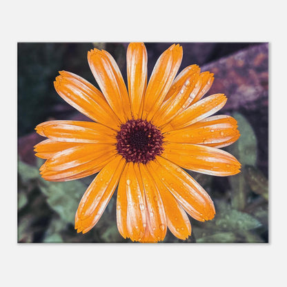 52d6212f-0c88-49b1-aaa6-e2c88fd50816