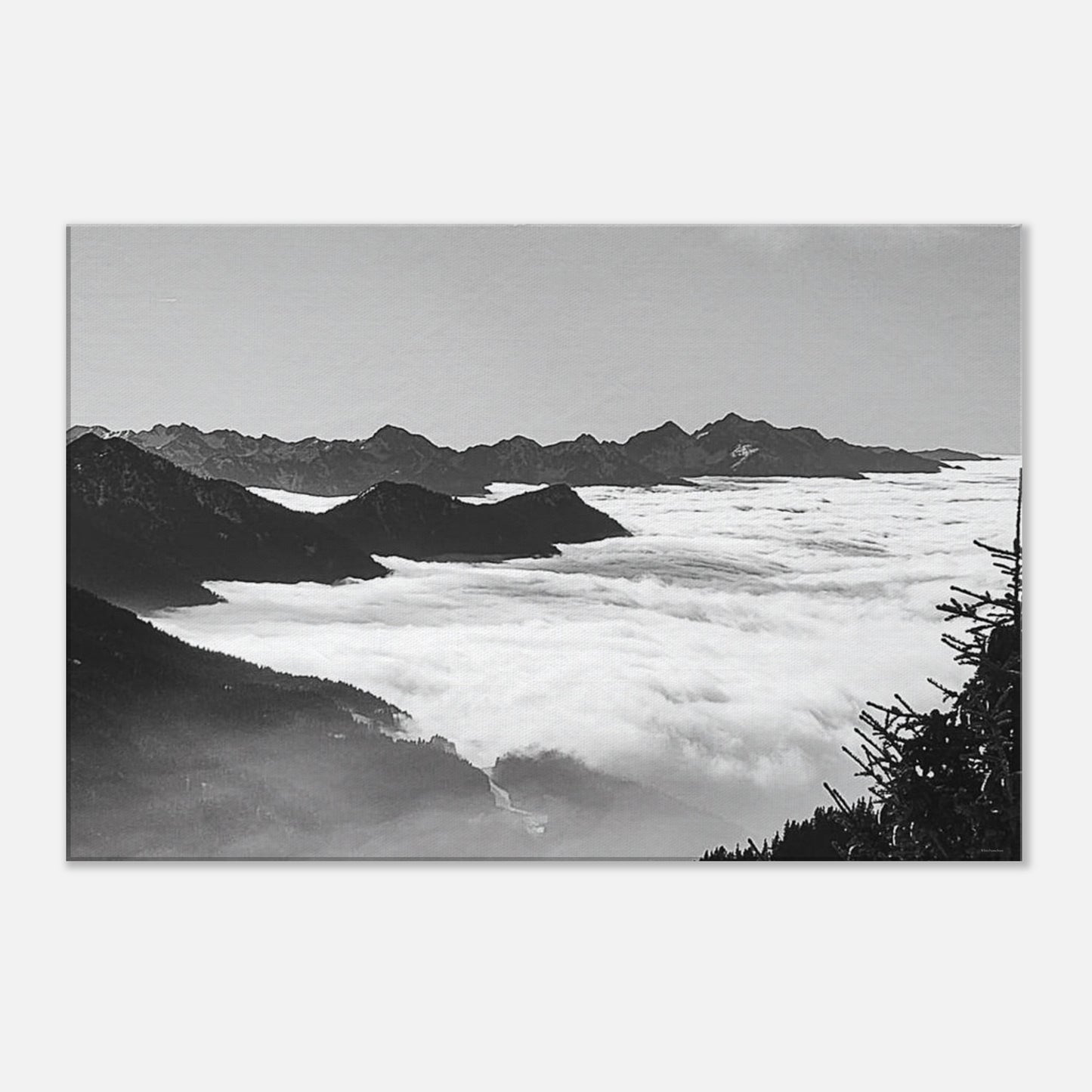 52f10778-7e72-4708-97b5-4683acb4e95b