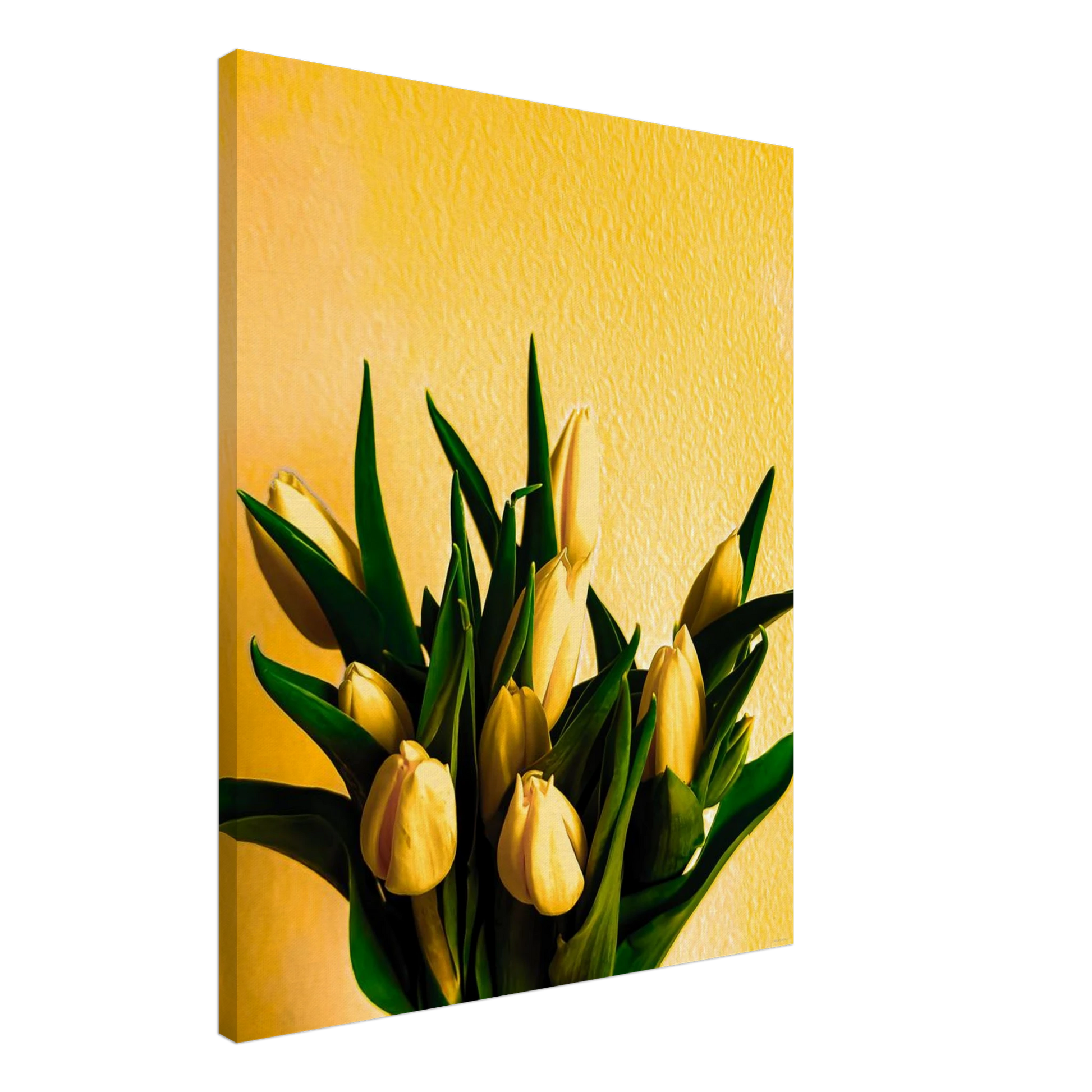 5317e986-d532-413e-891c-9288aecbc302