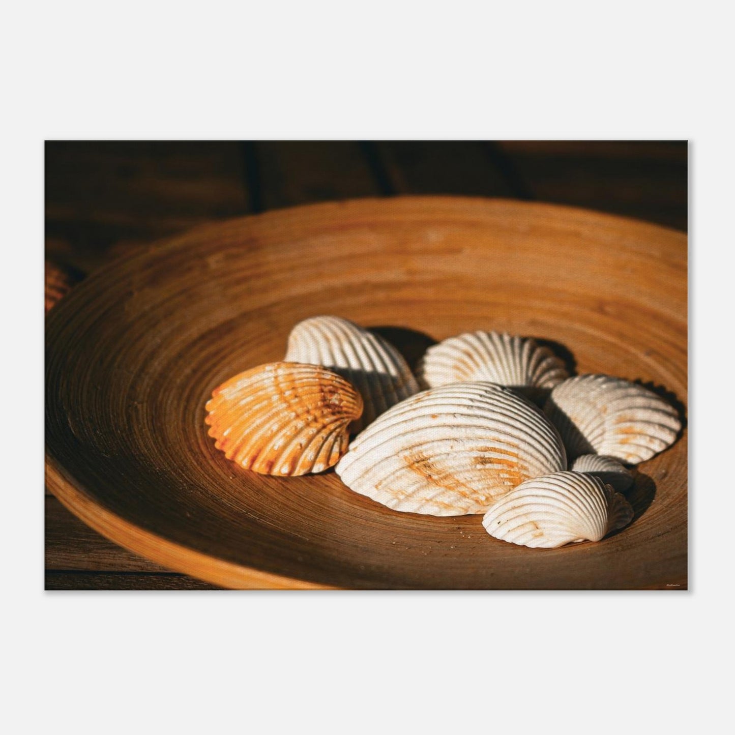 5344aa89-02c2-4ef0-826e-a0a7e14d8447