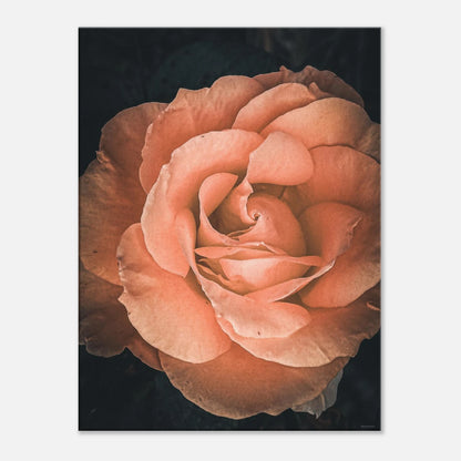 53600e9e-bc70-4714-96c0-3e084b4f908c