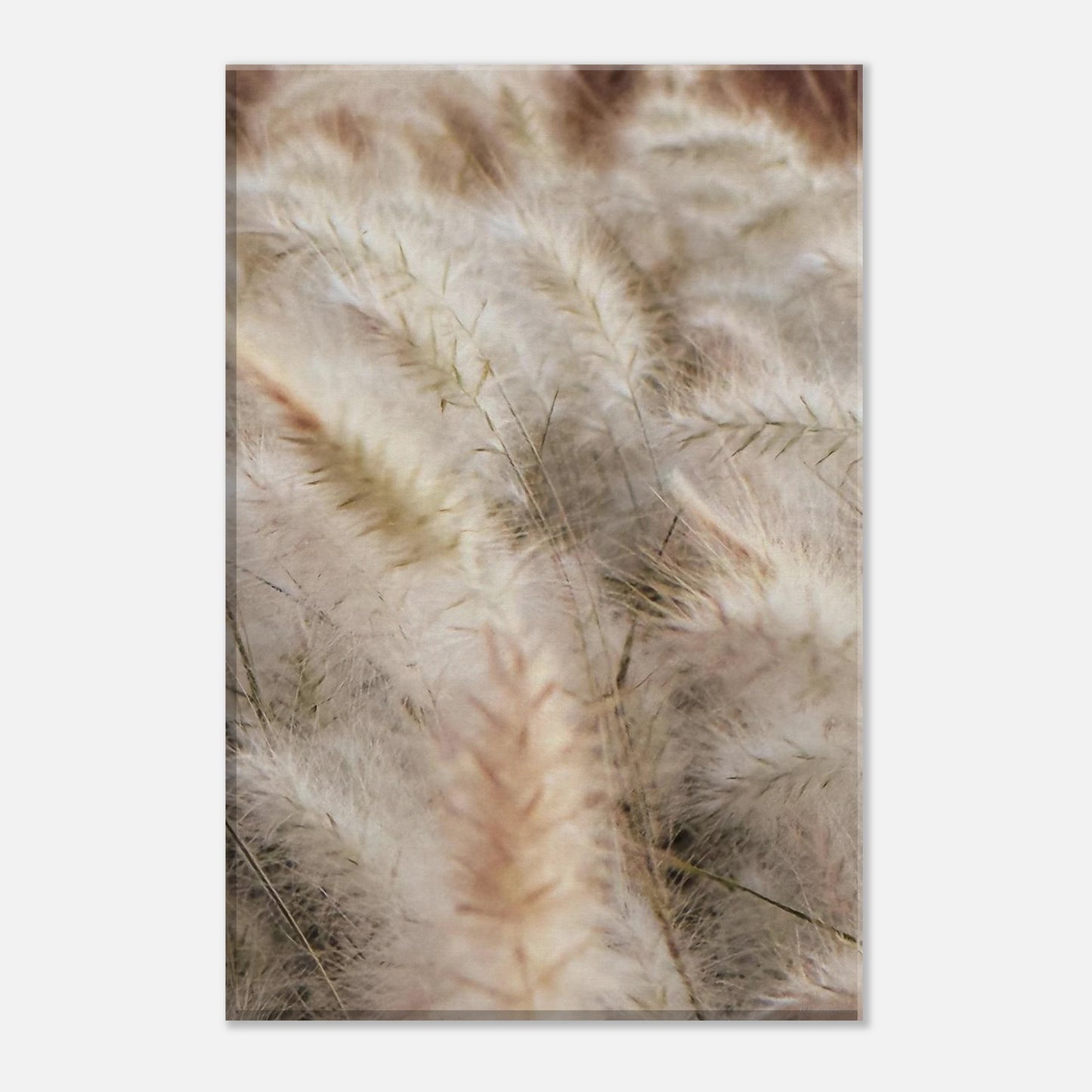 538db309-5818-4341-a09d-03a6640d1796