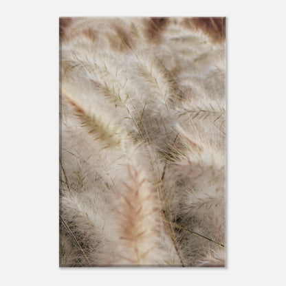 538db309-5818-4341-a09d-03a6640d1796