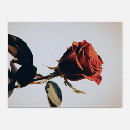 53914fca-9470-48f7-b9ed-a6cc33ba0d11