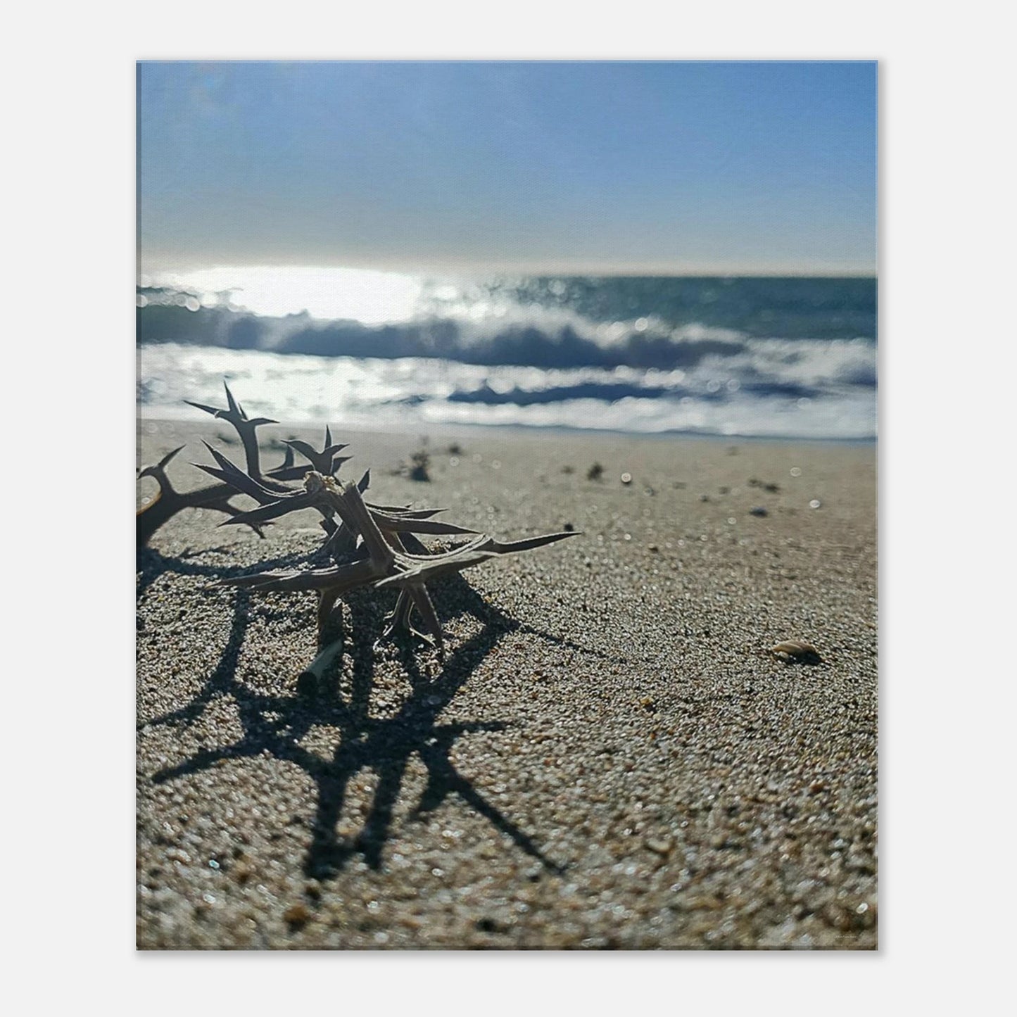 5419561f-61e7-427a-870a-e63f85d06bbd