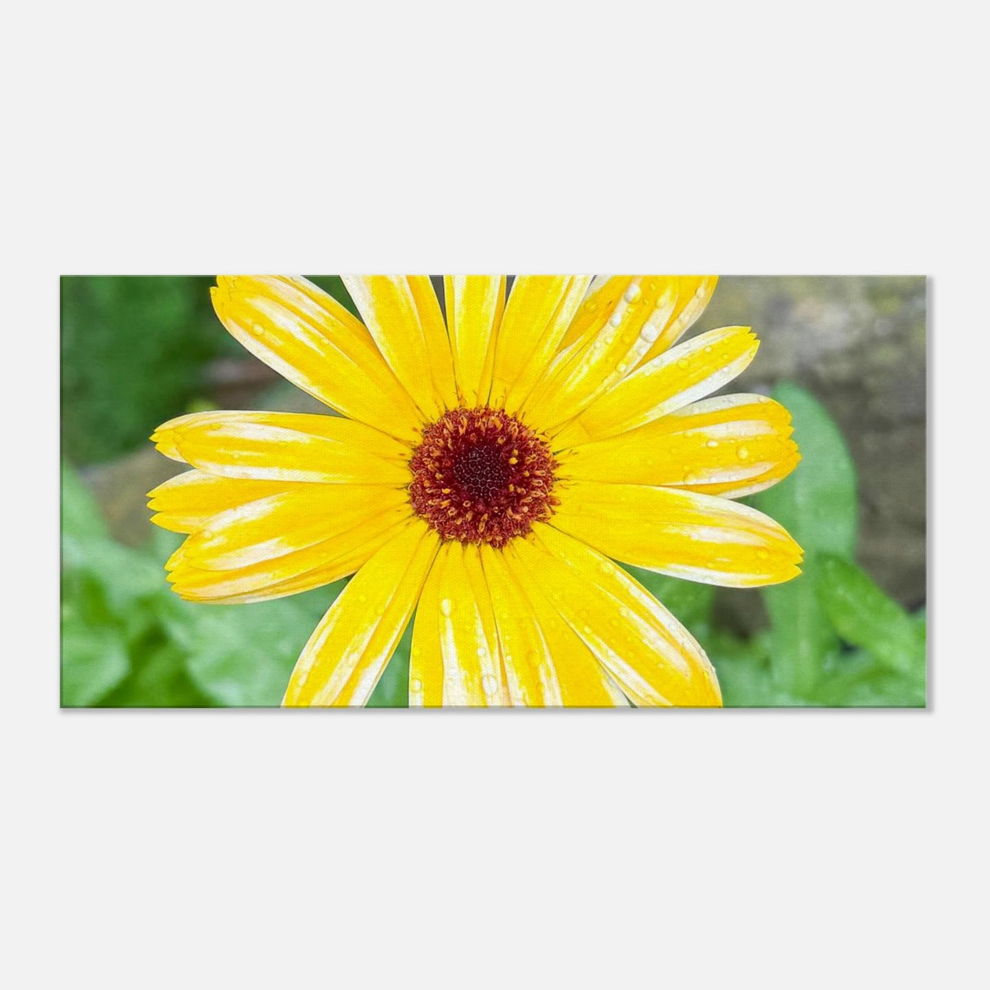 543c5ce0-2682-4dd4-9337-62f04400aa0a