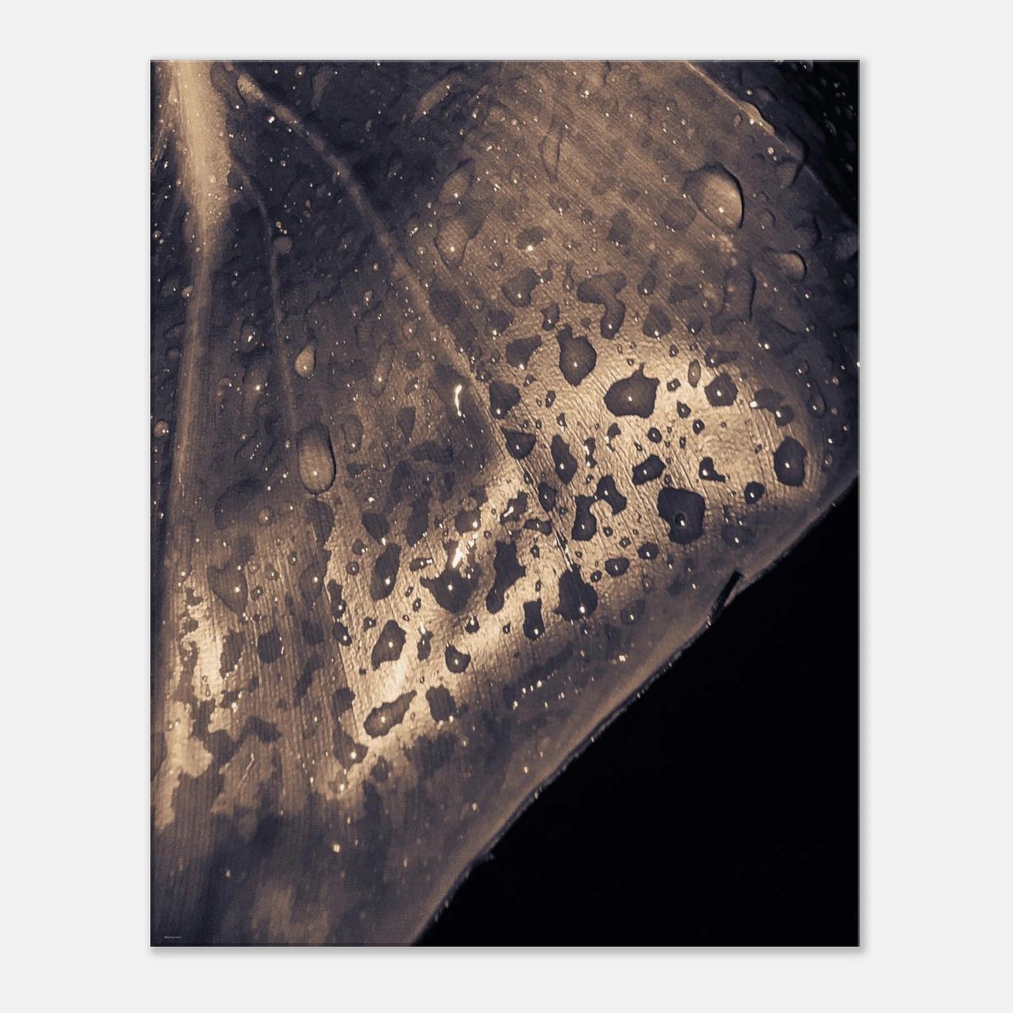 5442f268-c82b-44a9-bb24-40e35070e044