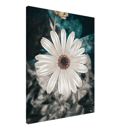 544909d7-9017-4934-9976-746daa504b2c