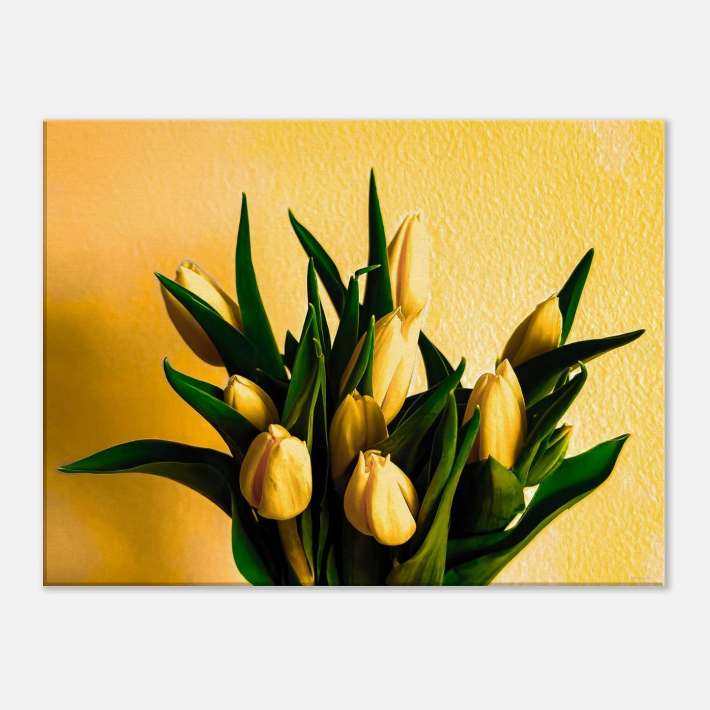 5473bf60-a948-45da-8c4a-697528ecb379