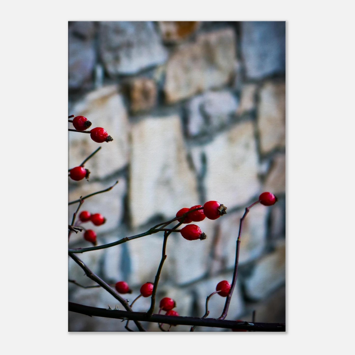 54740db8-ac9f-497e-8fd2-b171f85385b3