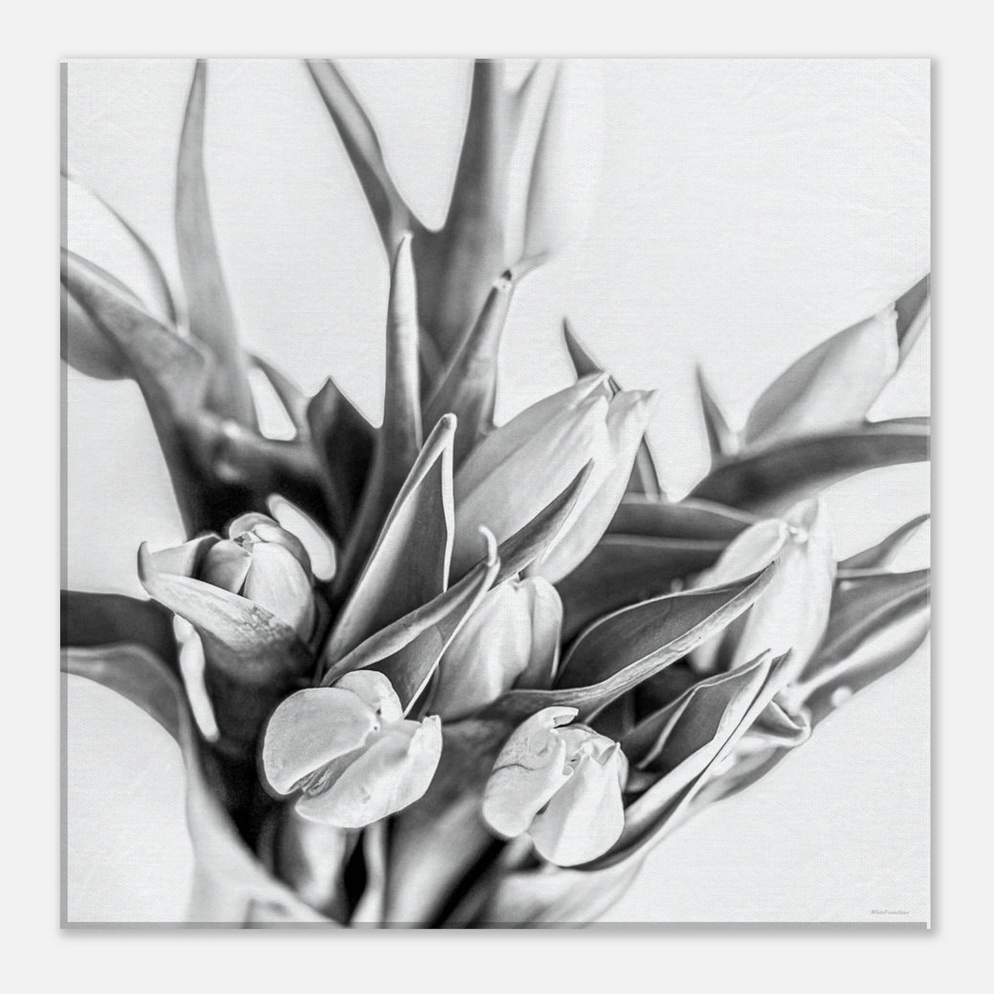 54a7e6d6-3e9b-4397-b970-64a840733924