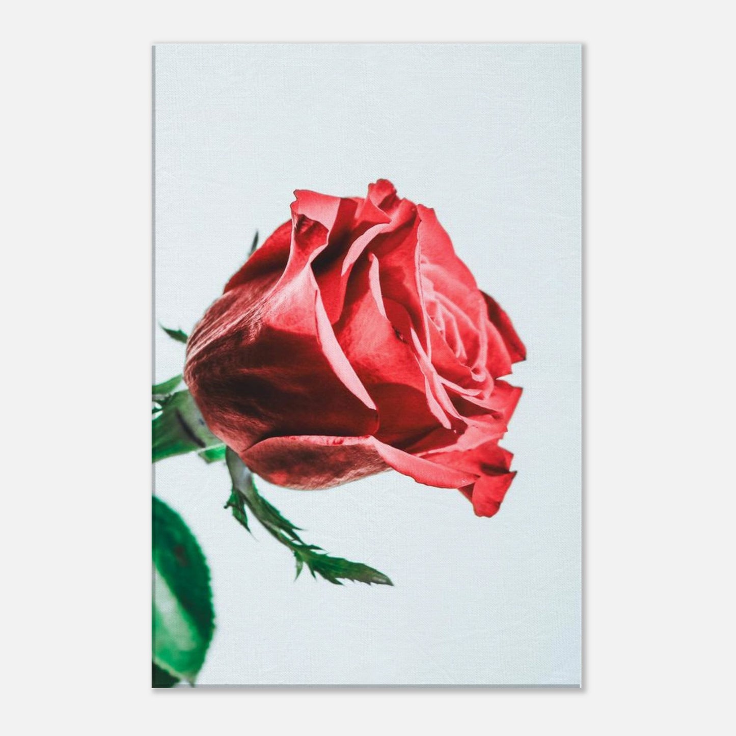 54abeb82-6bb1-4ec4-a8d8-73361ab5bf1e