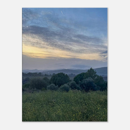 54cd71cf-2ef3-417b-9761-458615f1cbbb