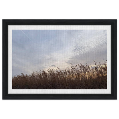 54d4d491-8b31-422a-a172-93a537361688