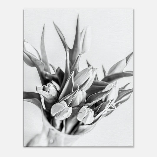 5507d50a-d2a4-4b6a-b6a6-be26f0112d73