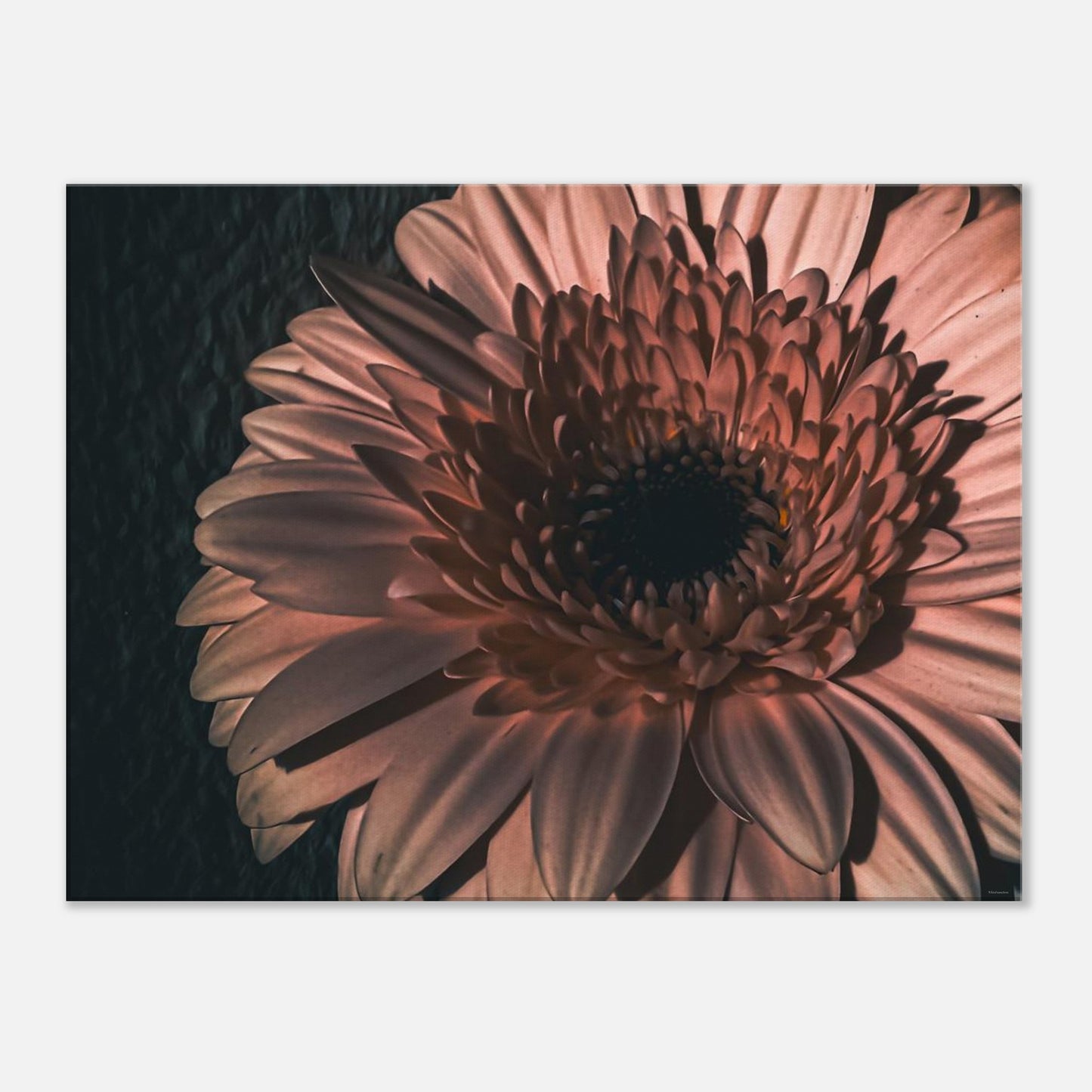 55424883-2bd1-4588-b862-50d578bc0693